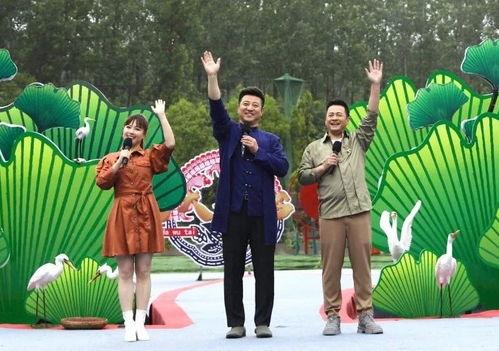 临邑最新事件大爆料视频,视频曝光惊人内幕！