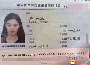 最新通行证爆料新闻,揭秘通行证新规与实施细节